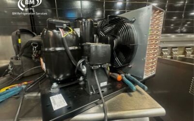 Commercial Cold Room Upgrade