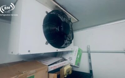 Delivering Custom Cool Room Design Solutions