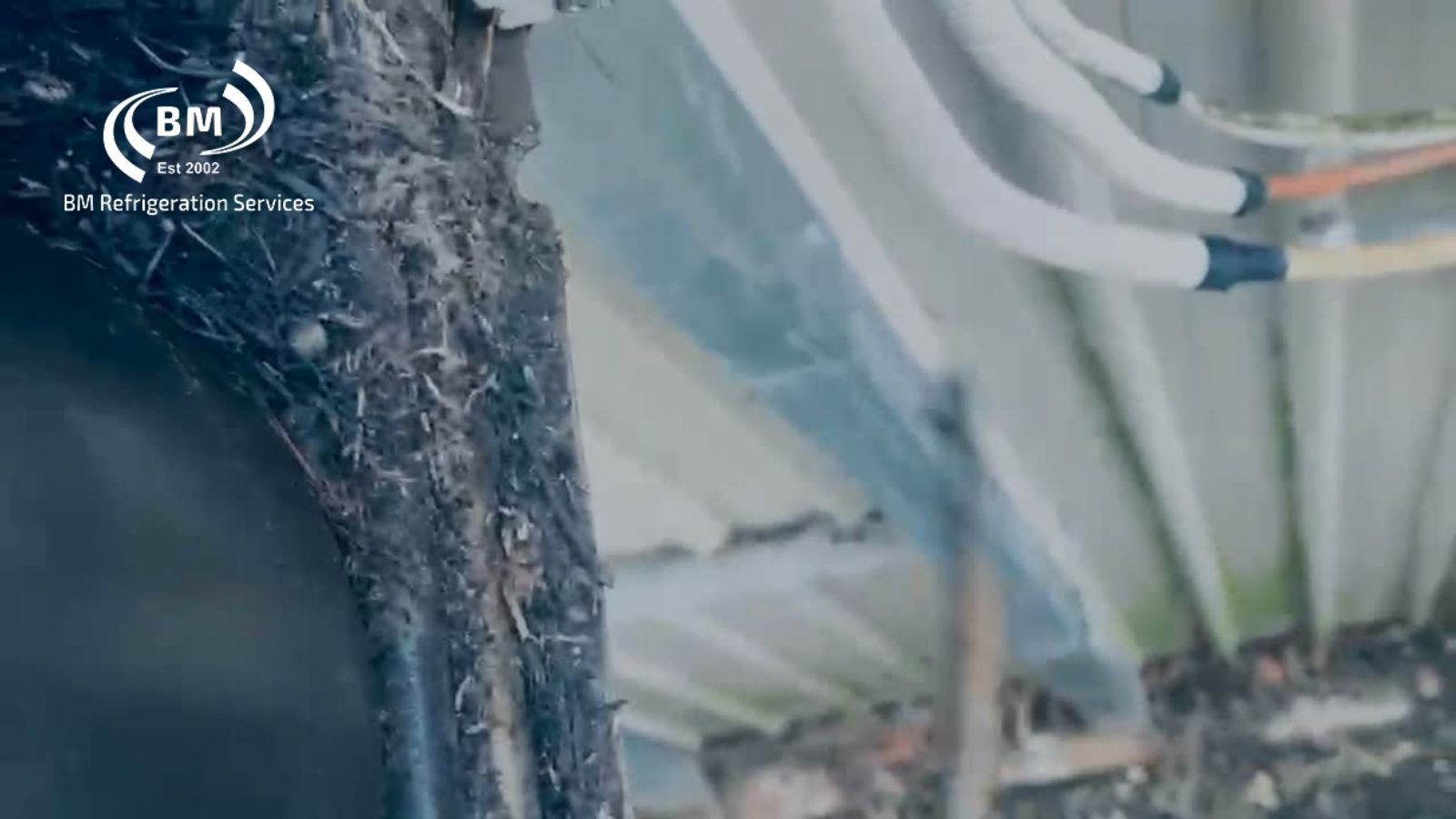 Iced-up coolroom evaporator coil, the kind of fault Frigbot alerts you to early
