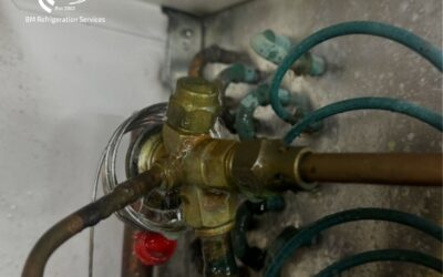Say Goodbye to Leaking TX Valves in Commercial Refrigeration Systems.