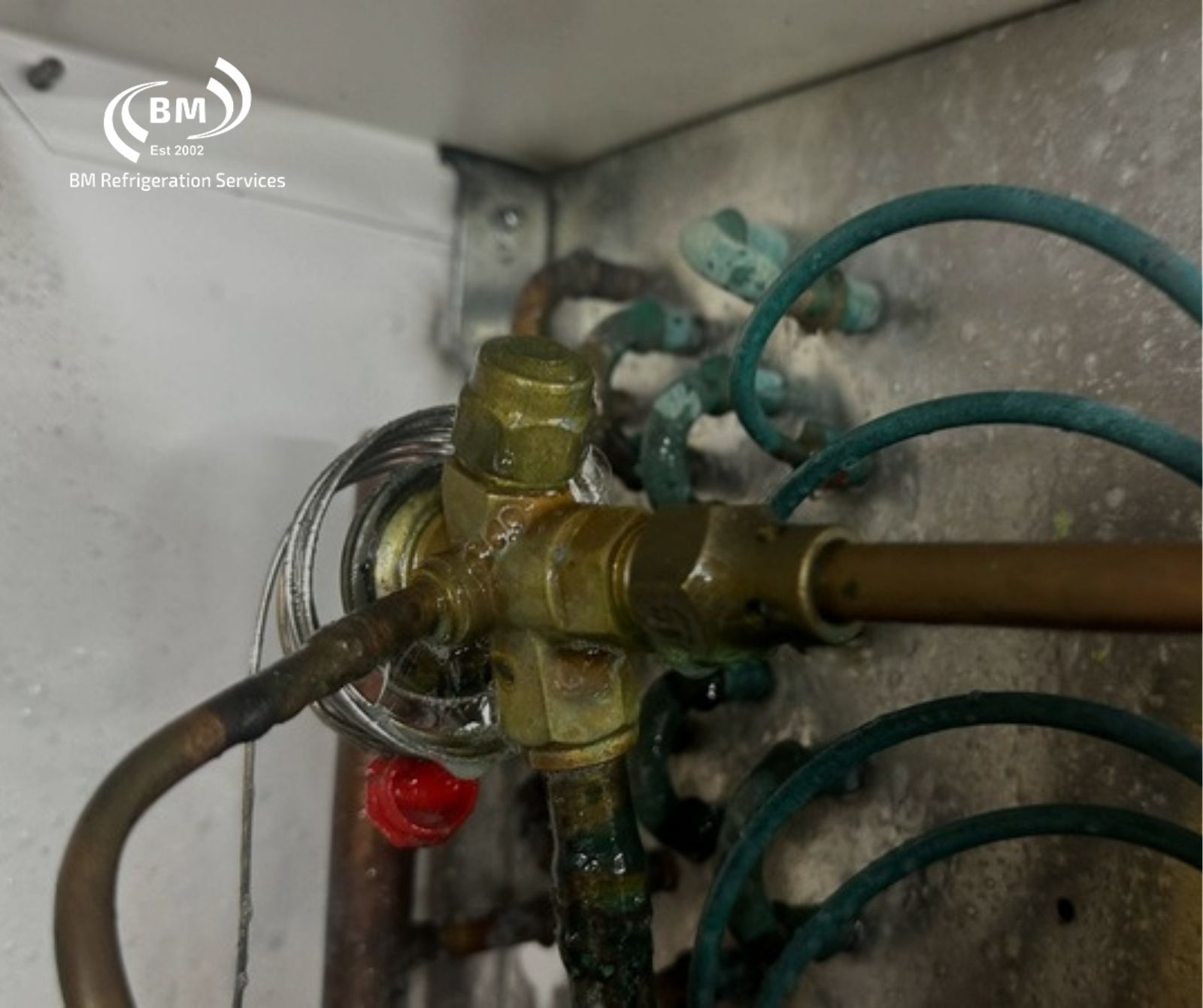 Refrigeration pipework and valves inspected by BM Refrigeration Services